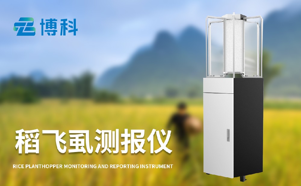 防治稻飛虱有哪些手段，稻飛虱測(cè)報(bào)儀