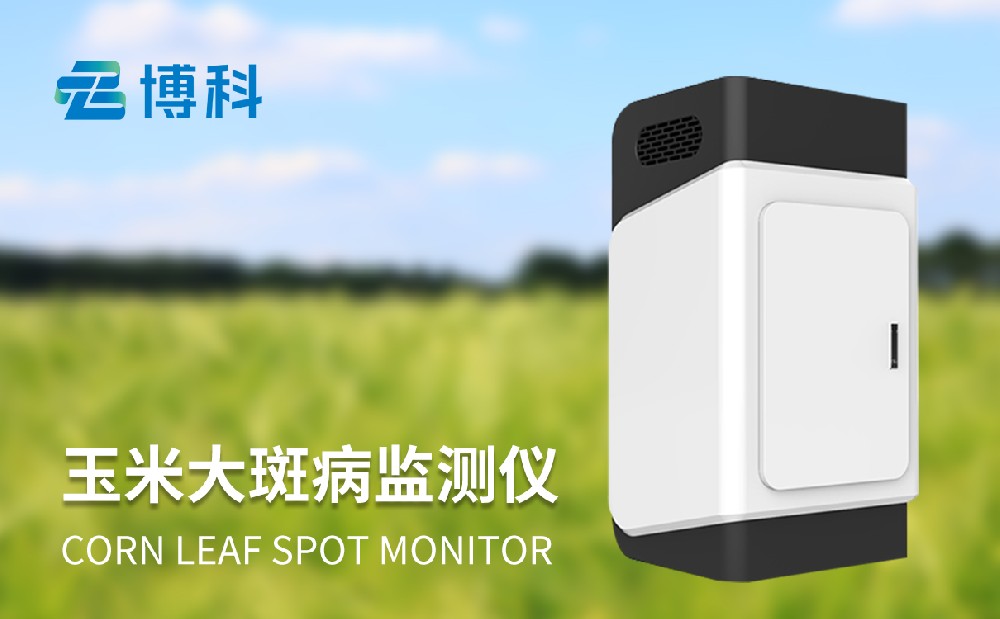 玉米大斑病監(jiān)測(cè)儀在病害治理中的作用