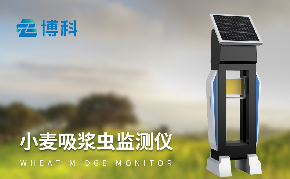 小麥吸漿蟲(chóng)防治方法有哪些，小麥吸漿蟲(chóng)測(cè)報(bào)儀