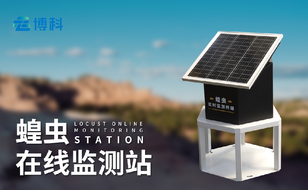 蝗蟲監測儀在草原蝗蟲災害治理中發揮哪些作用